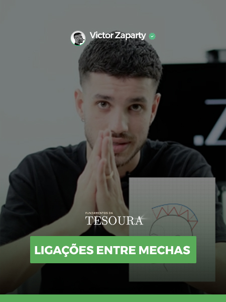 LIGAÇÃO ENTRE MECHAS